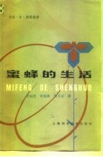 蜜蜂的生活