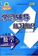 学习辅导练习组合 数学 七年级 下 人教版