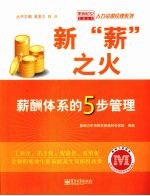 新“薪”之火:薪酬体系的5步管理