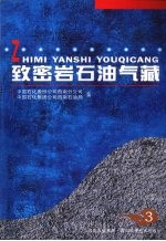 致密岩石油气藏