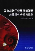 发电机转子绕组匝间短路故障特性分析与识别