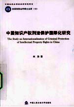 中国知识产权刑法保护国际化研究