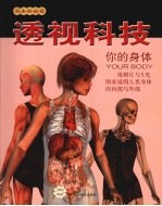 透视科技 你的身体
