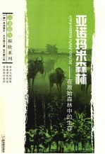 亚诺玛米森林 在原始森林中的生存