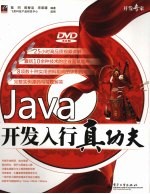 Java开发入行真功夫