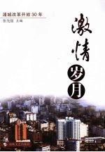 激情岁月:浦城改革开放30年