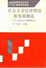 社会主义经济理论新发展概论 当代中国经济学原理研究