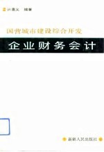 国营城市建设综合开发企业财务会计