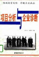 项目分析与企业诊断