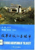 改革开放的玉林市