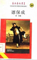 谭保成