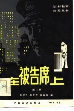 在被告席上 《刑法》130种罪示例 第2集