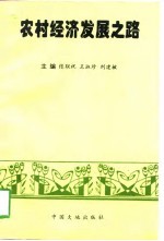 农村经济发展之路