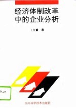 经济体制改革中的企业分析