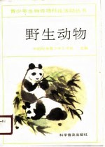 野生动物