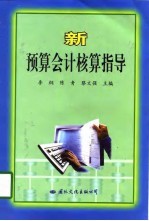 新预算会计核算指导