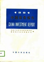 1991中国投资报告