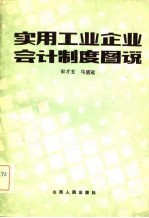 实用工业企业会计制度图说