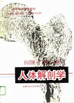 人体解剖学