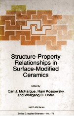 Structure-Property Relationships in Surface-Modified Ceramics