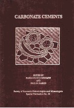 CARBONATE CEMENTS