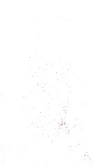 A FORMULARY OF PAINTS AND OTHER COATINGS VOLUME II
