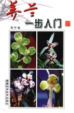 养兰一步入门