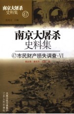 市民财产损失调查 四十七
