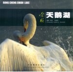 荣成天鹅湖
