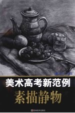 美术高考新范例 素描静物