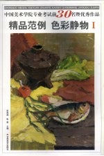 精品范例 色彩静物 1