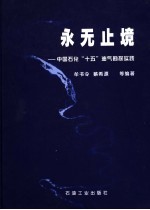 永无止境 中国石化“十五”油气勘探实践