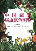 中国蔬菜病虫原色图鉴 珍藏版