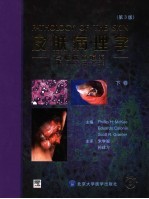 皮肤病理学:与临床的联系 下 第3版