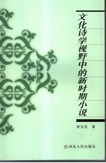 文化诗学视野中的新时期小说