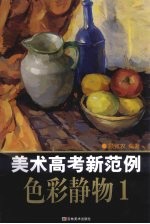 美术高考新范例 色彩静物 1
