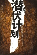 潜伏计划 长篇反特小说