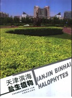 天津滨海盐生植物