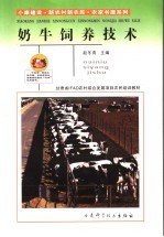 奶牛饲养技术