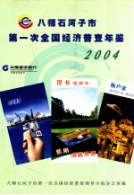 八师石河子市第一次全国经济普查年鉴 2004