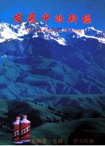 发展中的新疆 庆祝新疆维吾尔自治区成立四十周年 1955-1995