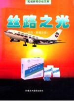 丝路之光 陕西·新疆分册