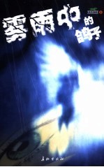 雾雨中的鸽子