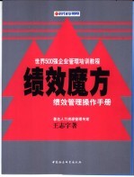 绩效魔方 绩效管理操作手册
