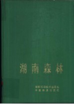 湖南森林