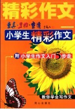 童真、童稚、童情:小学生精彩作文