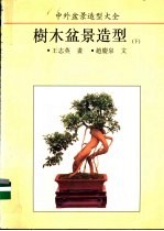 中外盆景造型大全 树木盆景造型 下