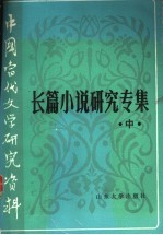 长篇小说研究专集 中