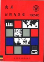 商品回顾与展望 1985-86