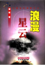 浪漫星云 中国当代诗歌札记